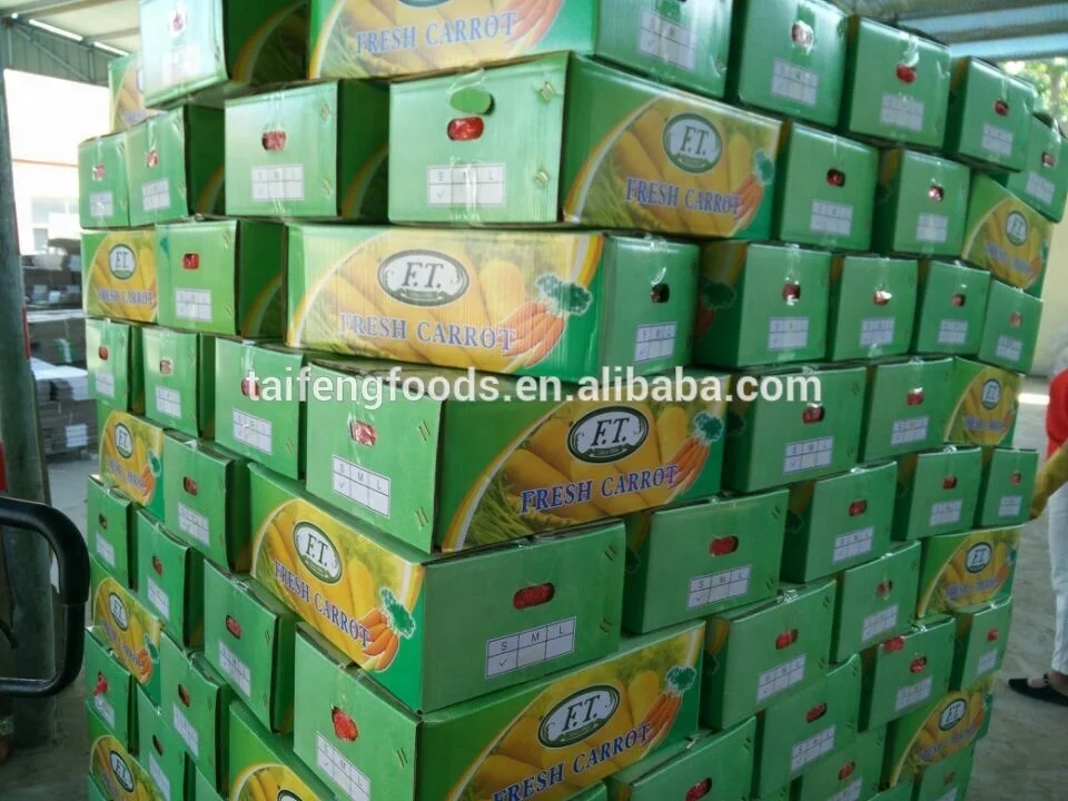2020 урожай, оптовая продажа, картонная упаковка carot/свежей моркови