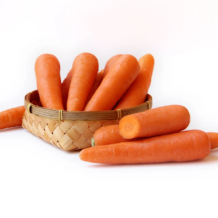 2021 year China fresh vegetables S,M,L Size Fresh Carrots