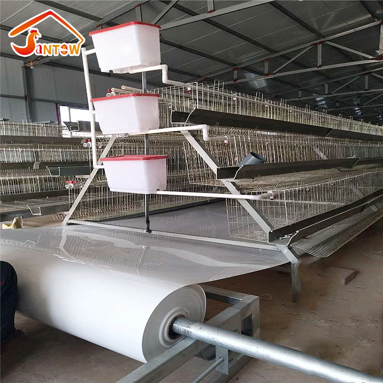 Layer Cage Assembling Tools Layer Chicken Cage For Live Chicken large scale chicken farms for bv 380 of germany