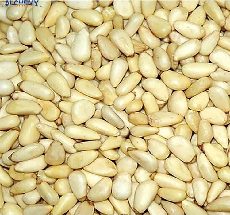 pine nuts in shell  kernels price per kg