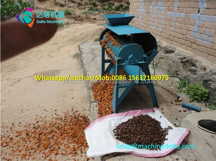 Industrial almond shell and kernel separating machine/apricot seed remover apricot seed getting machine