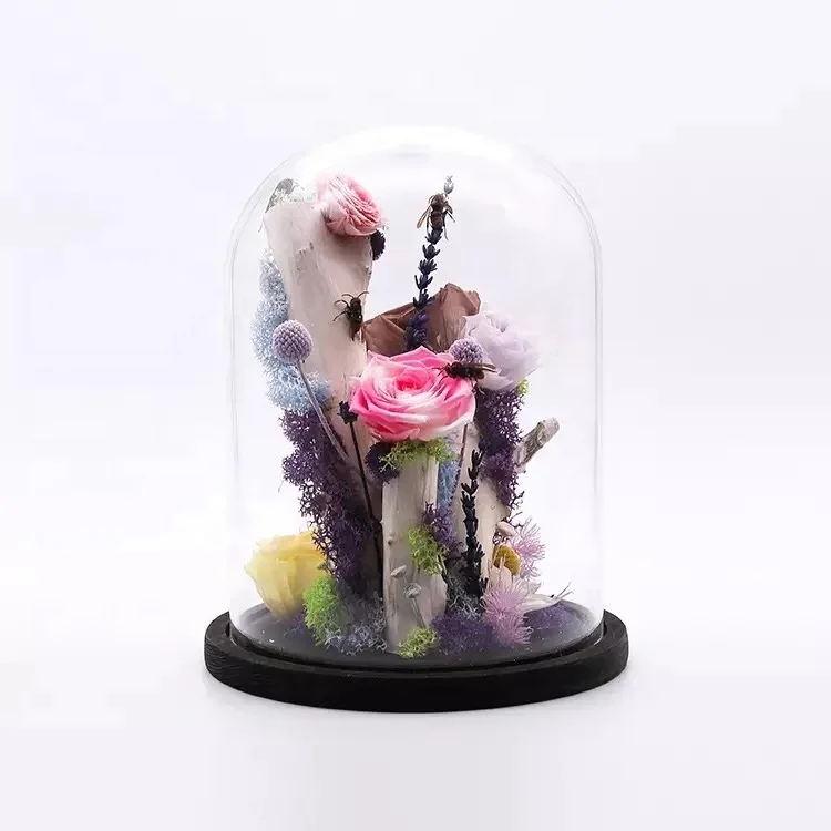 High quality preserved rose from preserved rose dome