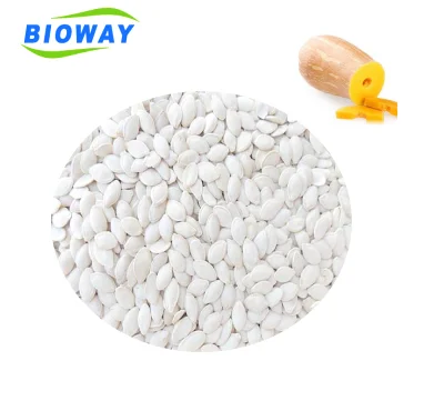 100% Chinese factory supply organic shine skin pumpkin seeds