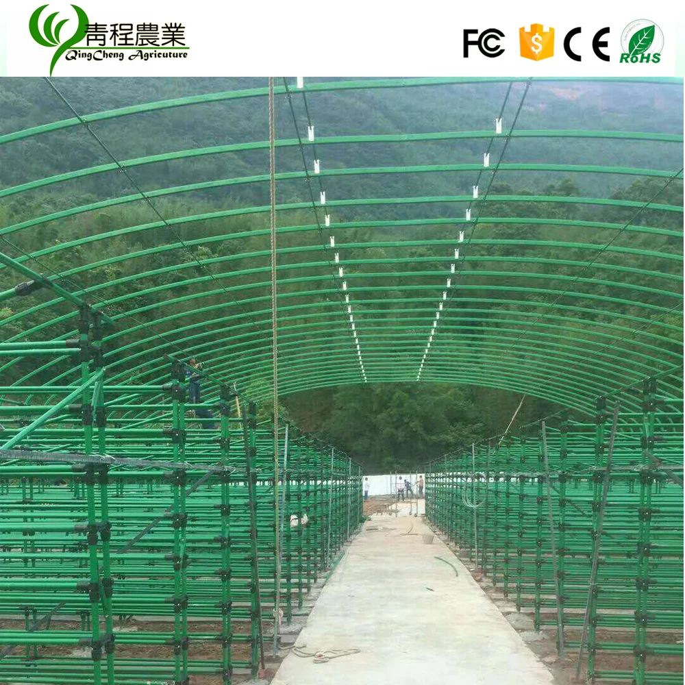 mushroom growing shelves greenhouse for sale