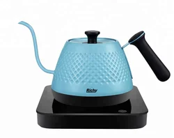 2020 Promotion New Fashion 304 Stainless Steel Eco Coating Quick Heating Japan Korean Stylish Gooseneck Electric Kettle