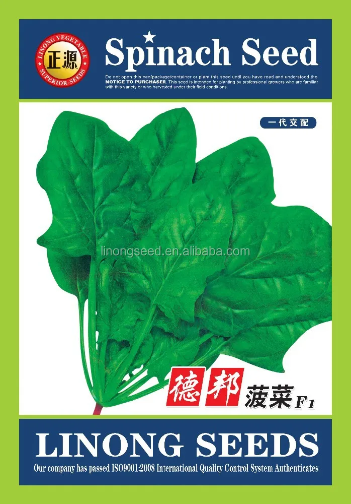 Круглый листья английский шпинат