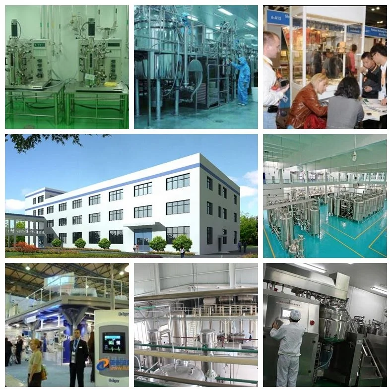 
Factory Price vitamin b3 supplement vitamin b3 niacinamide powder CAS 98-92-0 