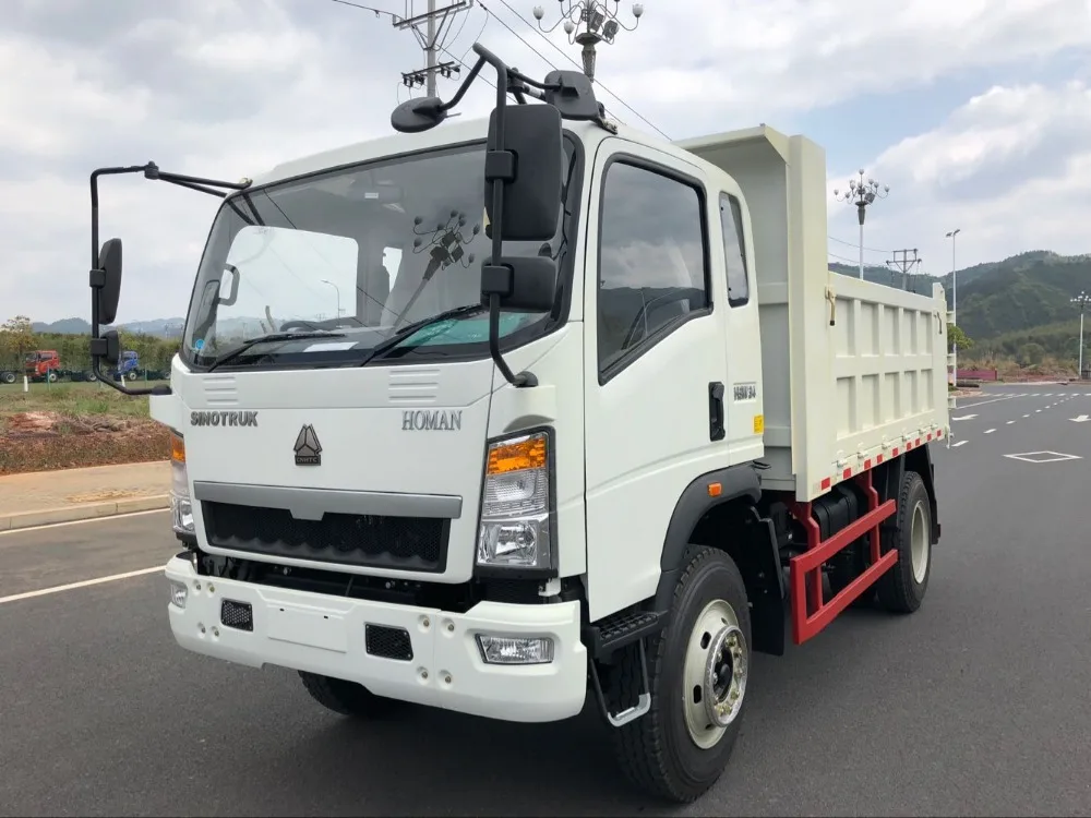 Sinotruk 4x2 Dump truck ,Tipper Truck on sales ,loading weight:8-10Tons
