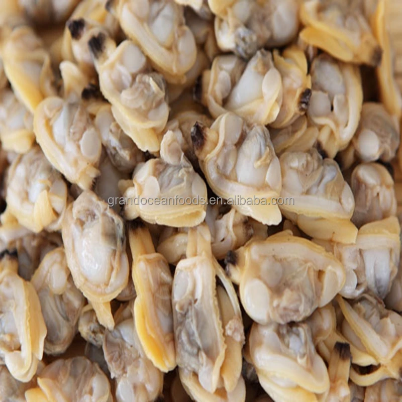 
Yellow clam meat 