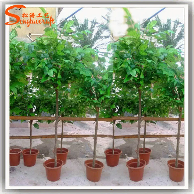 Home Decor Tropical Tree Artificial Cocoa Pods Fruit Trees Plastic Pods Tree Real Wood Plant