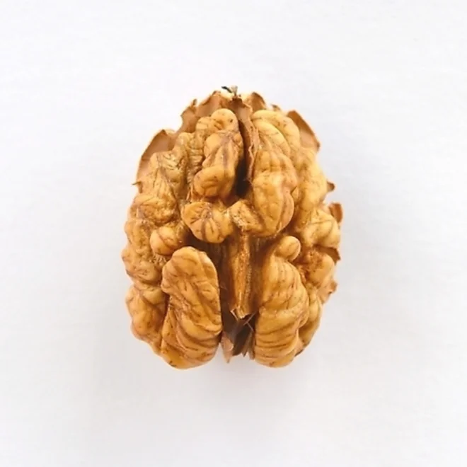 Hot selling Chinese xinjiang walnut kernel shelled light halves