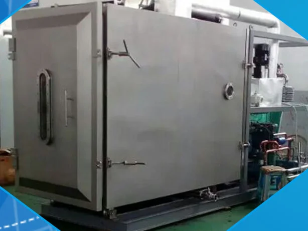 
Vacuum Freeze Drying Machine freeze dryer for sale series for vegetable and fruit Chemical ,Seafood 