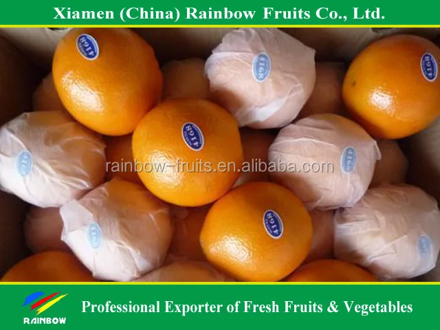 
Fresh Navel Orange Mandarin Fresh Orange Chinese Kino Pakistani Kino 