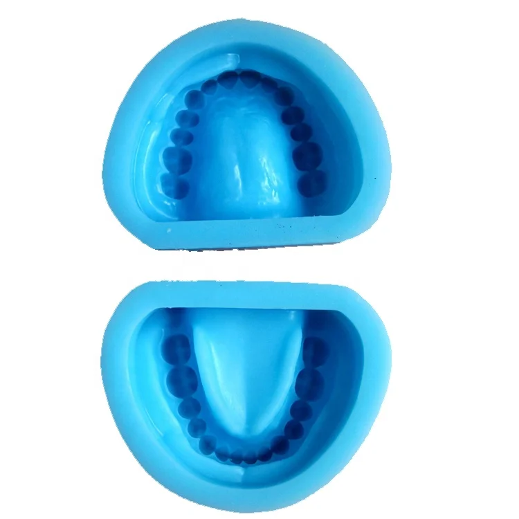 Dental teeth Edentulous Rubber Mould