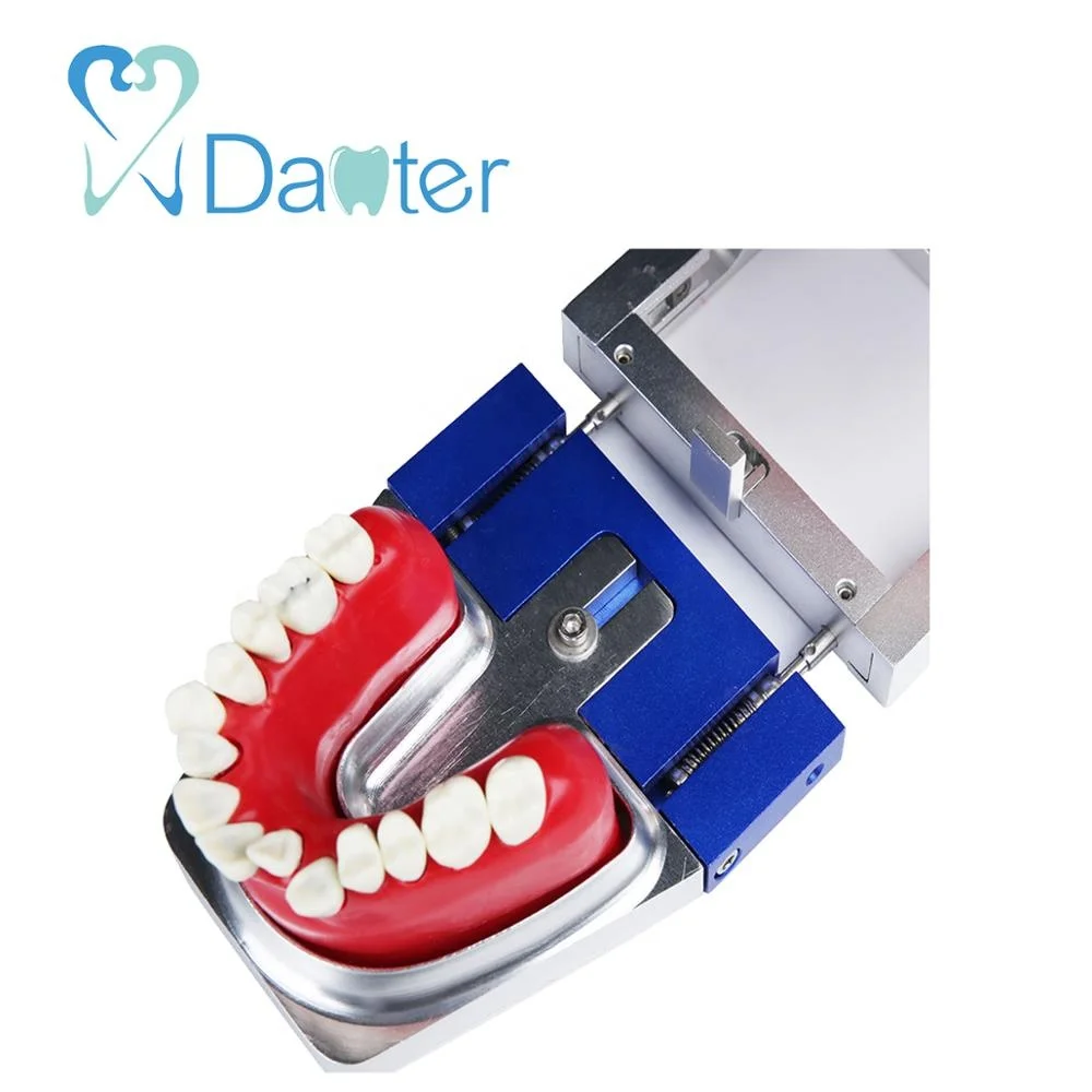 high quality typo dont practice model with five types of wax form and replacement teeth