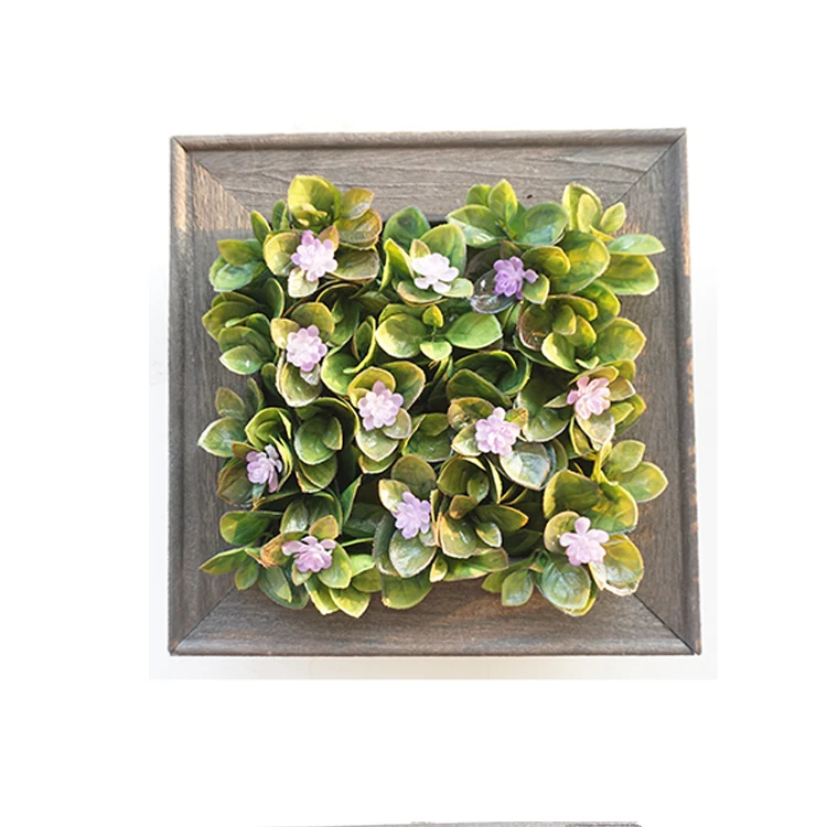 Fashion design home decor decorative succulent plant hanging wall photo plant plastic frame
