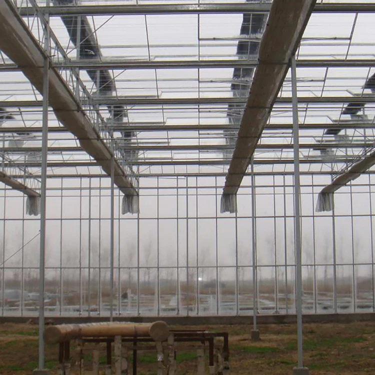 
Mutli span plastic film agriculture glass multi-span garden polycarbonate greenhouse 