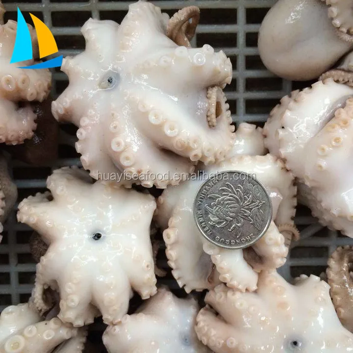 Farm Raised Iqf frozen octopus flower frozen baby octopus