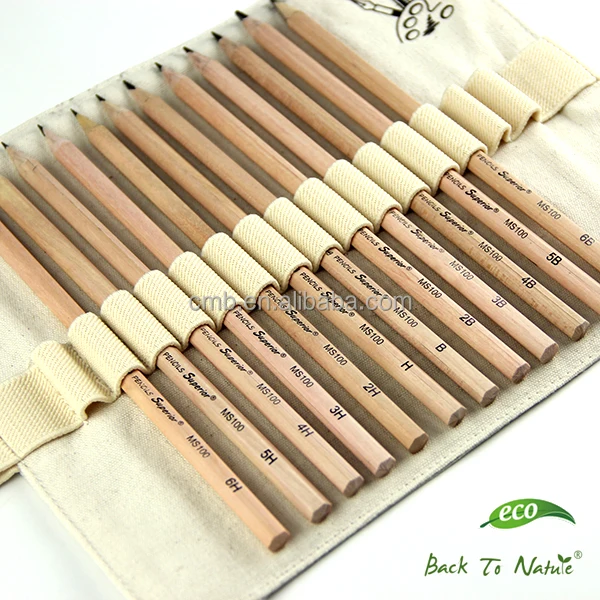 Customized Sketch Pencil Set in Rolled Portable Bag for Artist