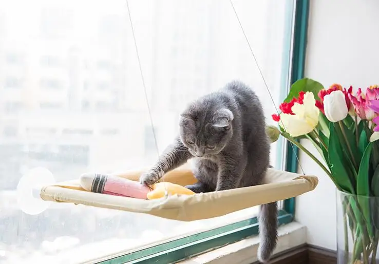 Seat Basking Hanging Shelf Window-Mounted Hammock Cat Bed with Strong Suction Cup Sunny Swing Durable Oxford