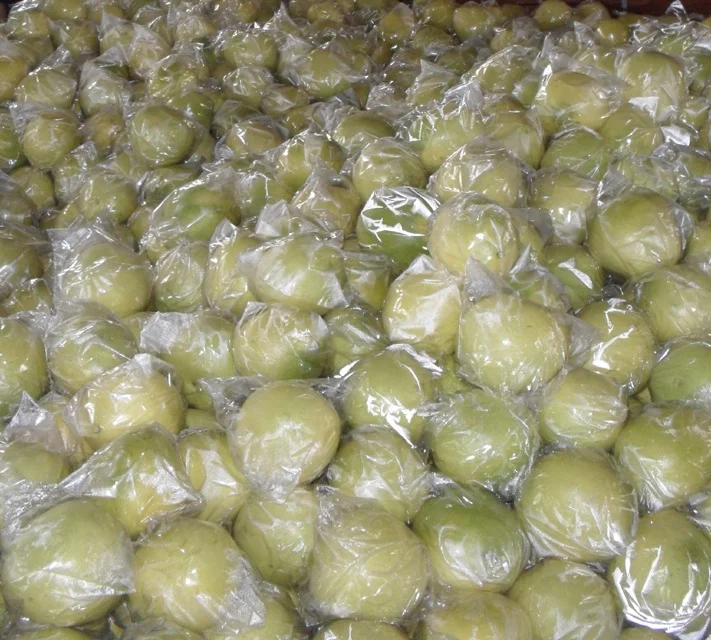 Fresh Pomelo Fruit Chinese Citrus Fruits