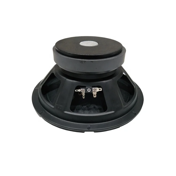 
China Speaker Manufacture 300w 10 inch Woofer for Trolley Speaker 