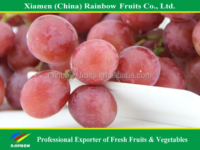 Fresh Chinese table grape red globe grape red grape to India asia market