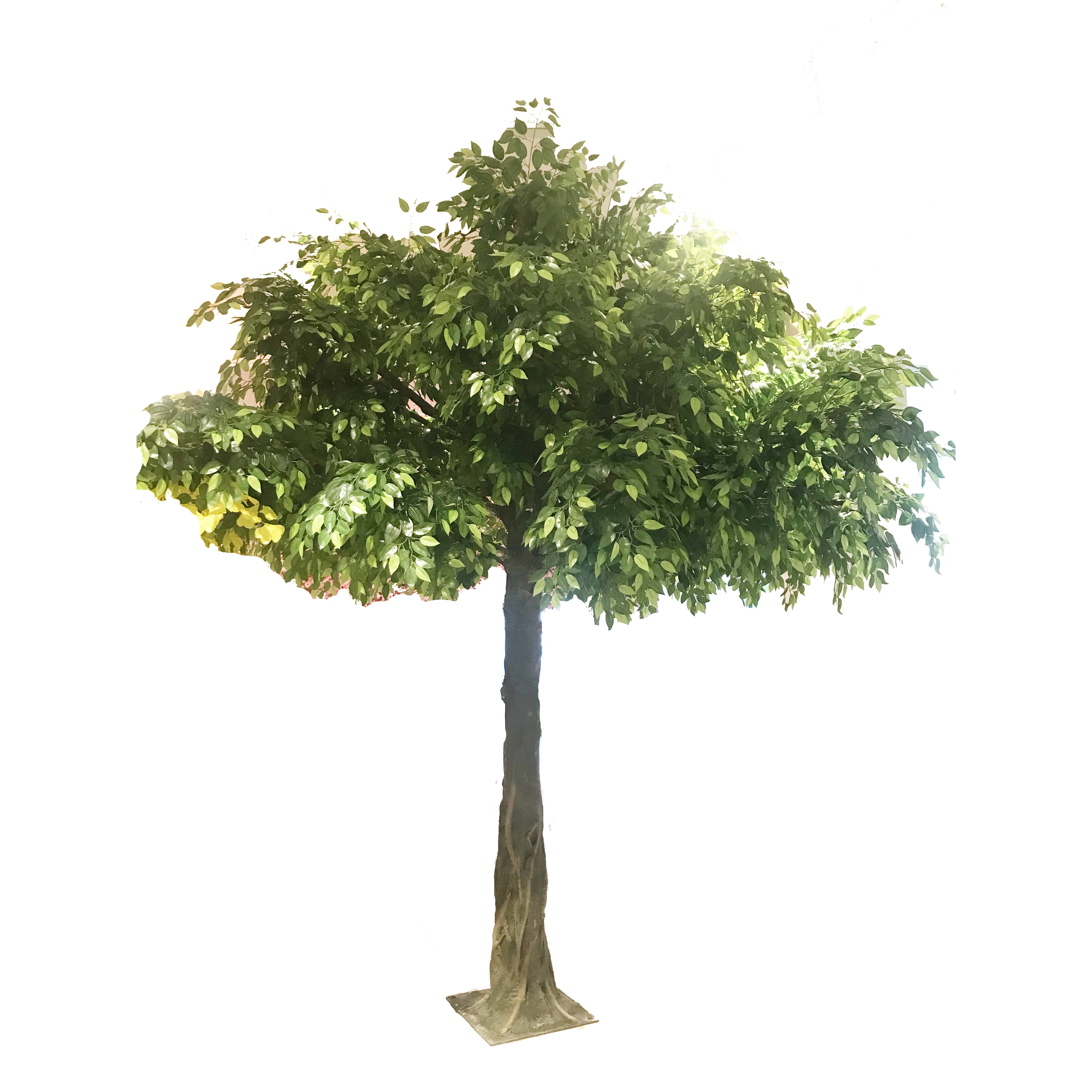 slightly bent shape banyan tree Artificial ficus microcarpa bonsai plant tree