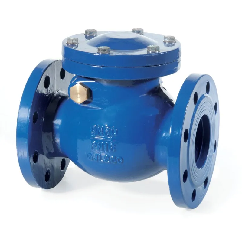 DN50-DN300 DIN 3202 F6 pn16 Ductile Iron water  swing check valve for sea water