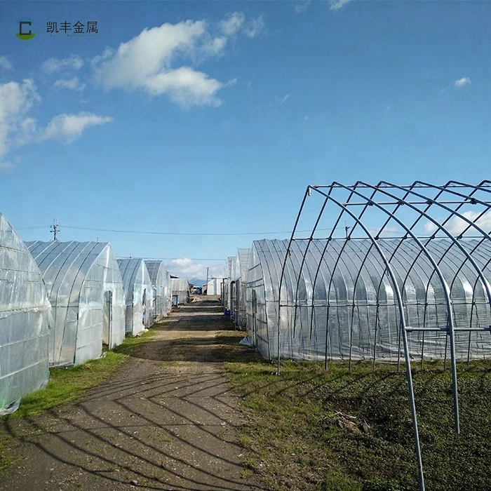 Green Houses Agriculture Plastic Film Greenhouse for flower
