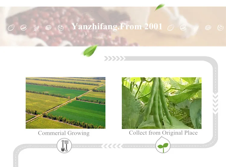 
Not completed mung bean organic mung beans seeds mung bean 