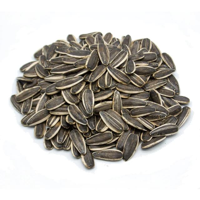 Hot Sale sunflower seeds turkey chacha sunflower seeds