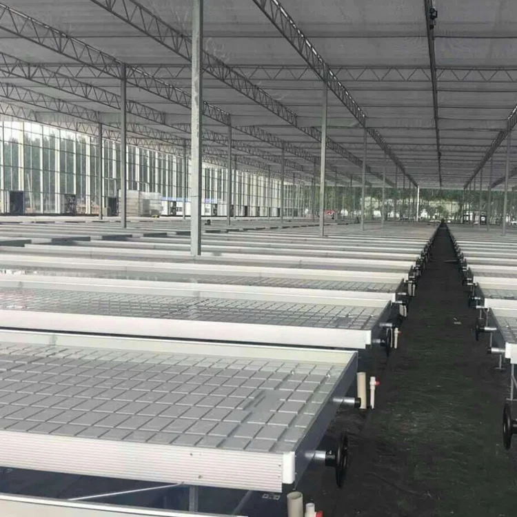 Skyplant Hydroponic Flood Tables And Trays Ebb And Flow Rolling Bench