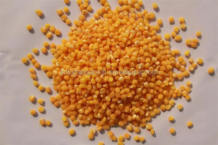 High quality 5ton-50ton/day maize degerminating machine / corn degerminator