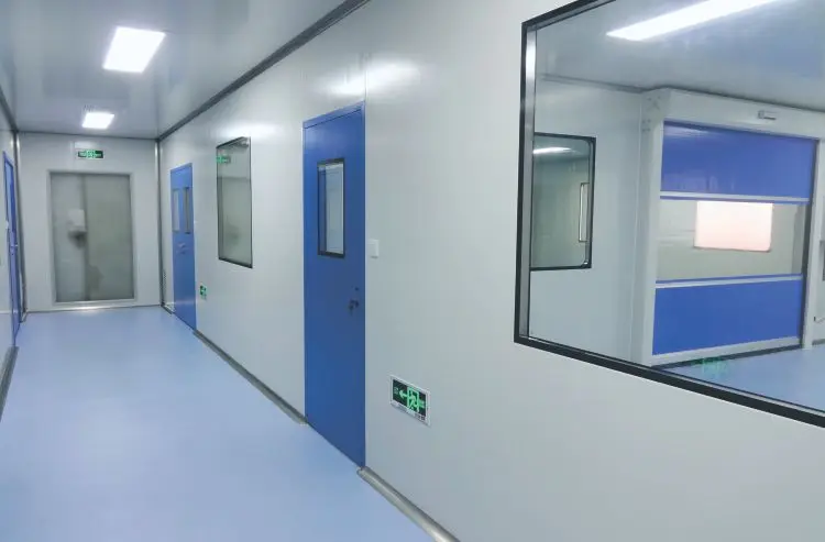 Clean Room Door