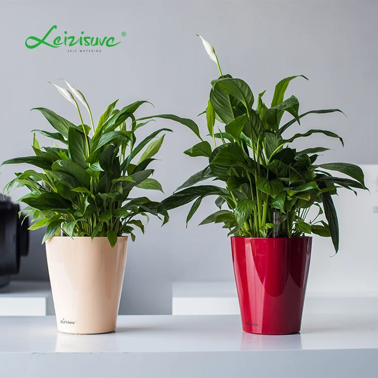 Cheap small mini windowsill self watering plastic flower pots vase for decor