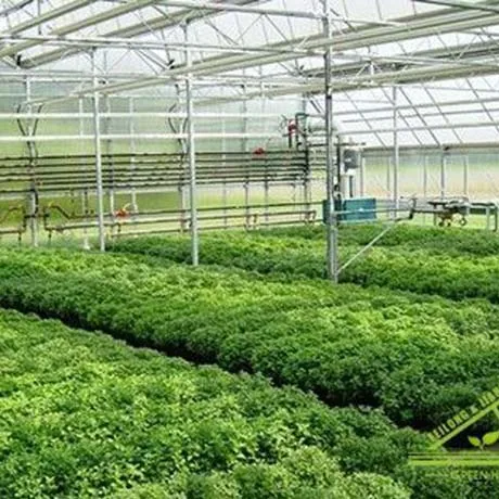 Smart glass greenhouse and agricultural vegetable greenhouse