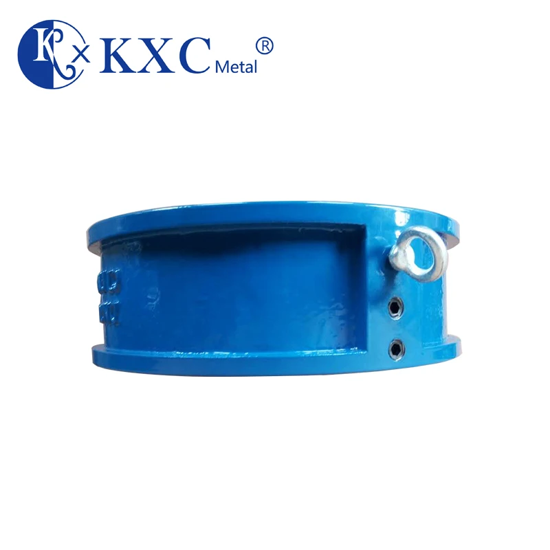 PN16 DN50 DN400 Oem Water Meter  Standard Normal Temperature Check Valve,general Hydraulic DN50-DN400 ISO9001:2008 Check Valve