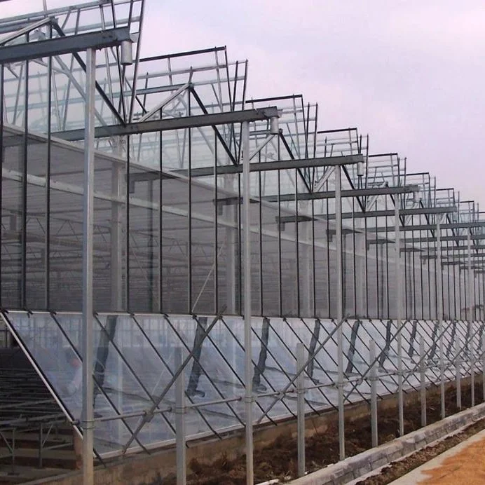 
High strength Agricultural Greenhouse Steel Structures/tomato greenhouse for sale 