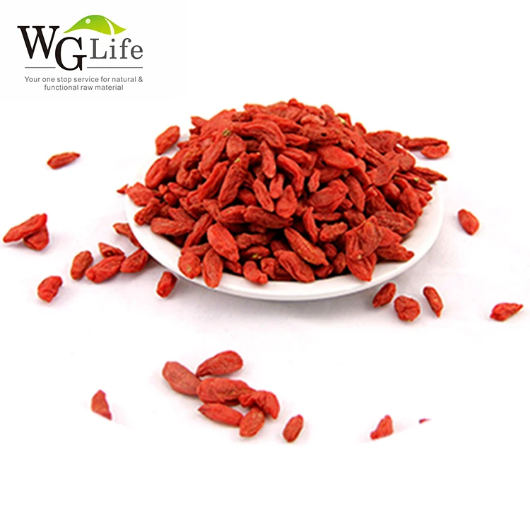 Factory direct supply wolfberry goji berry powder Plant Extract