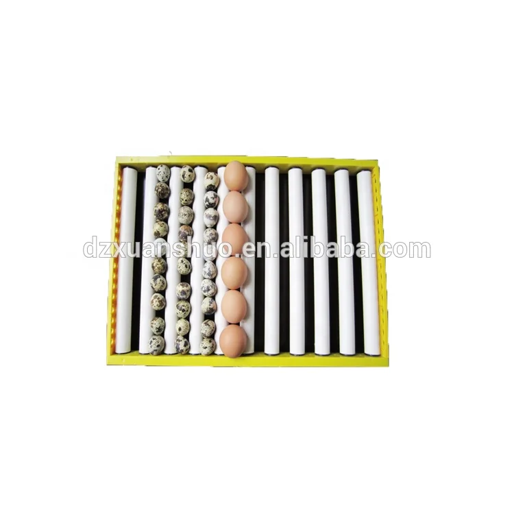 incubator egg trays 88 eggs for chicken