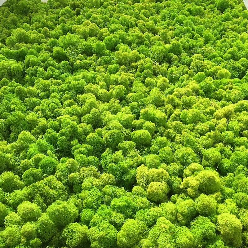 Hot sale vertical artificial natural preserved moss grass wall for shop decor