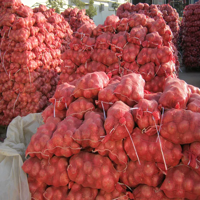 Chinese Best Quality Fresh Red Onion 7cm