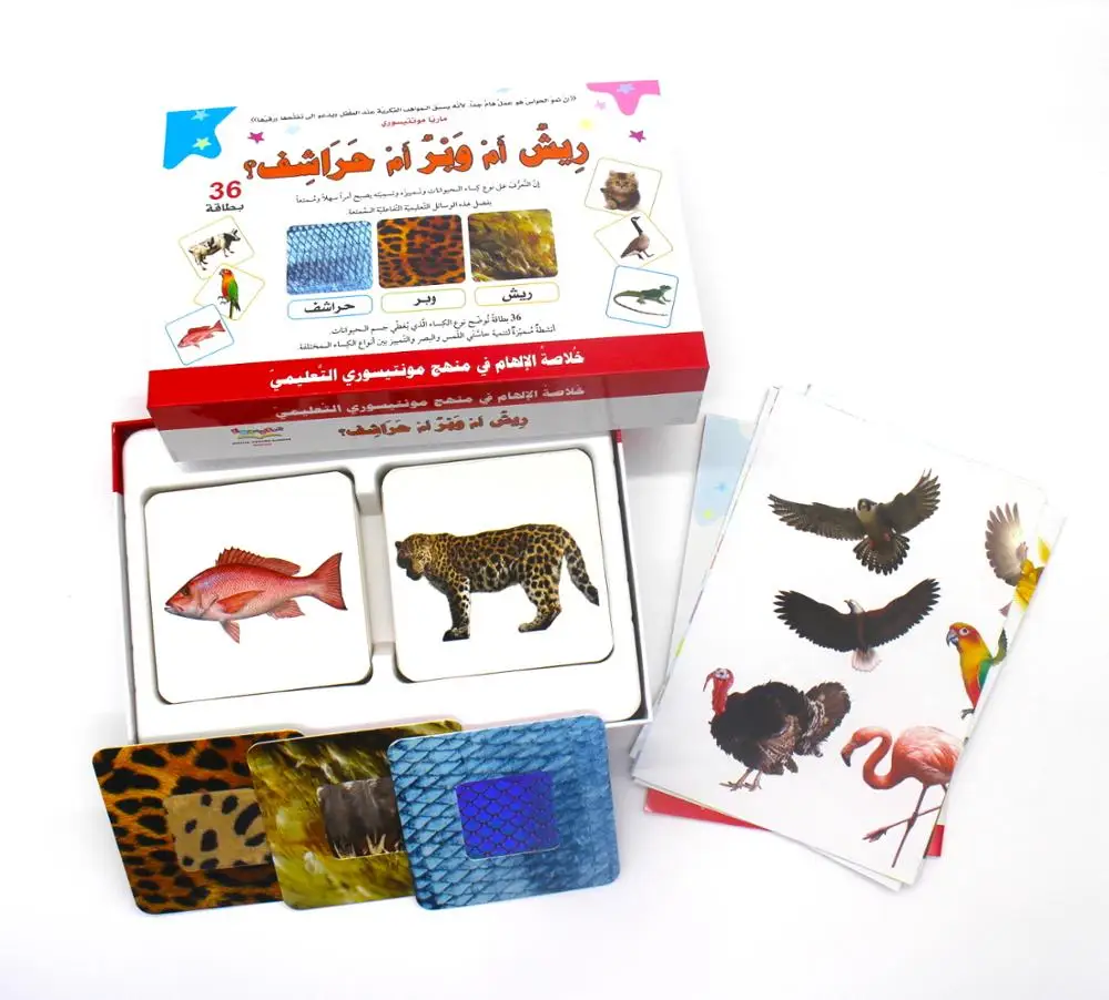 
Customized 2019 New Montessori Cards Set 