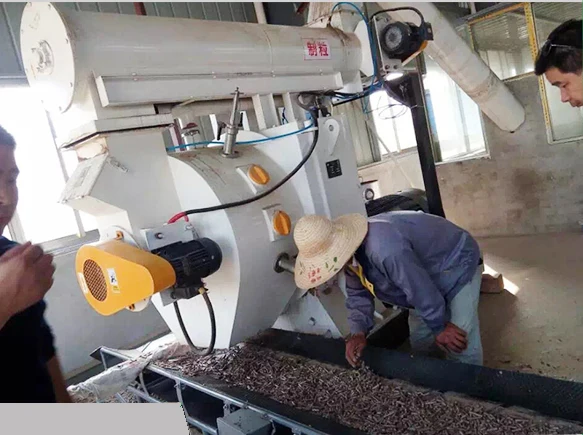 8mm Wood pine sawdust pellet line / StrawPellet Making Machine Line
