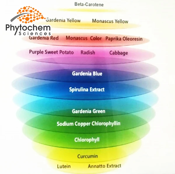 
Good sell hair / food coloring powder red yellow green blue white black orange natural pigment 