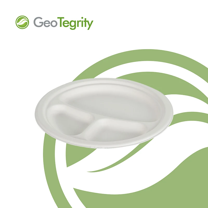 
Sugarcane Disposable round Plate 9' 