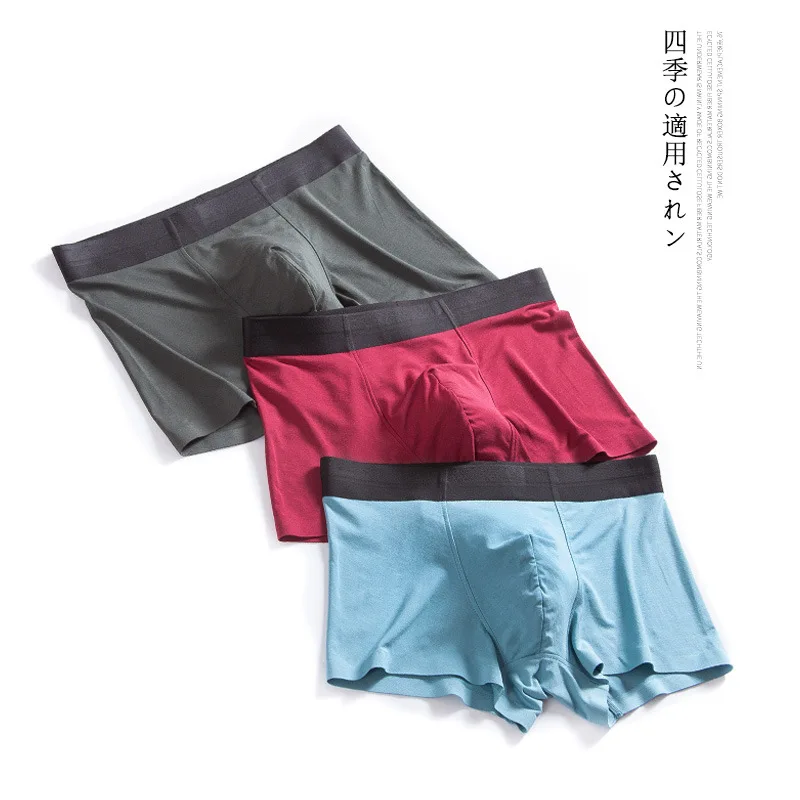 Japan Style Mens Boxers Shorts Modal Cotton Underwear  Best Quality Comfortable