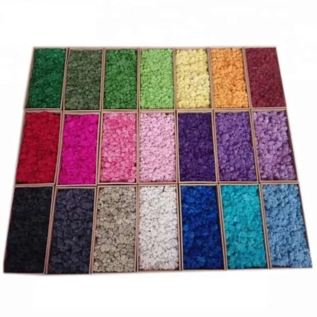 Wholesale decorative moss best quality preserved moss mat for festival wall