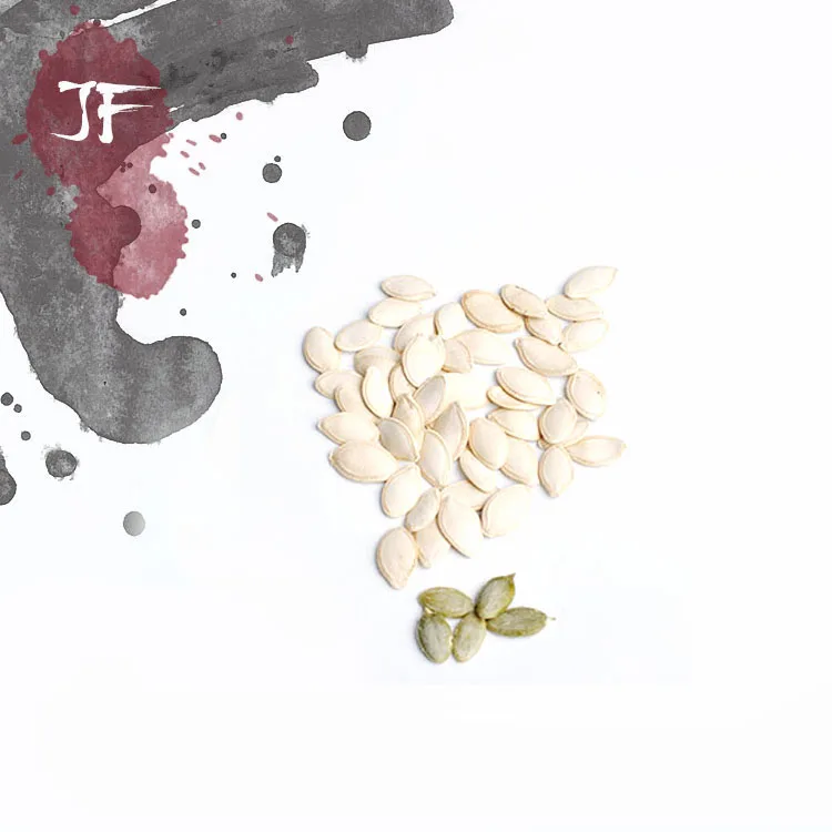 
inner mongolia low price pumpkin seeds with high quality 